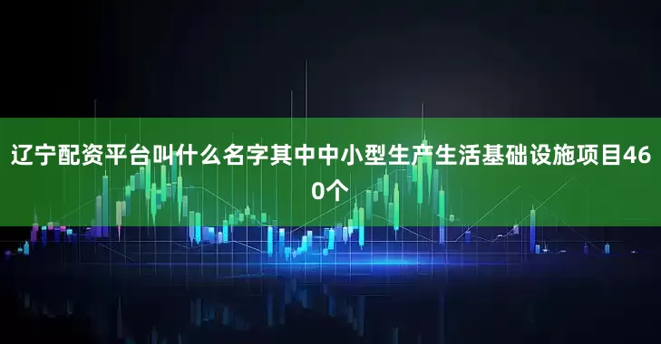 辽宁配资平台叫什么名字其中中小型生产生活基础设施项目460个