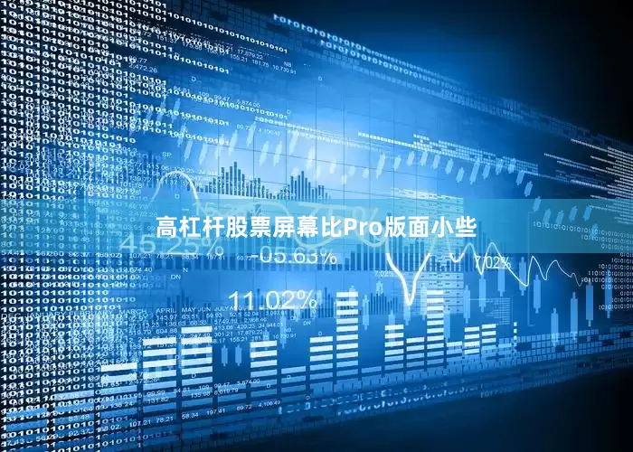 高杠杆股票屏幕比Pro版面小些