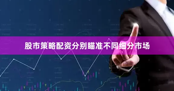 股市策略配资分别瞄准不同细分市场