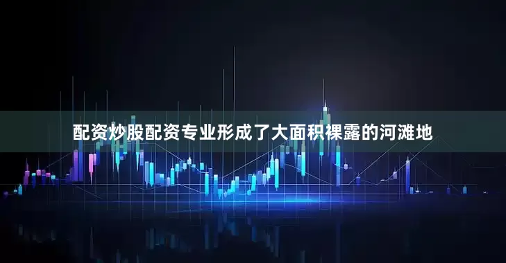 配资炒股配资专业形成了大面积裸露的河滩地
